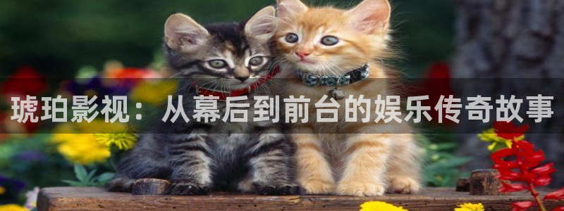 奇优影院电影电视剧在线观看免费：琥珀影视：从幕后到前台的娱乐传奇故事