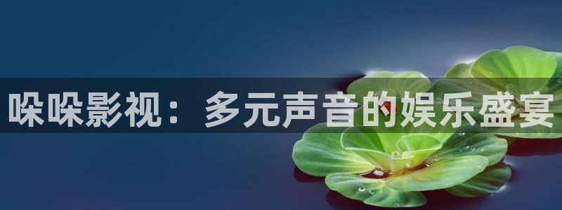 奇优影院在线观看入口：哚哚影视：多元声音的娱乐盛宴